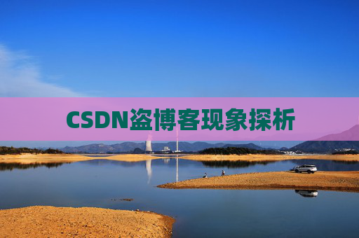 CSDN盗博客现象探析